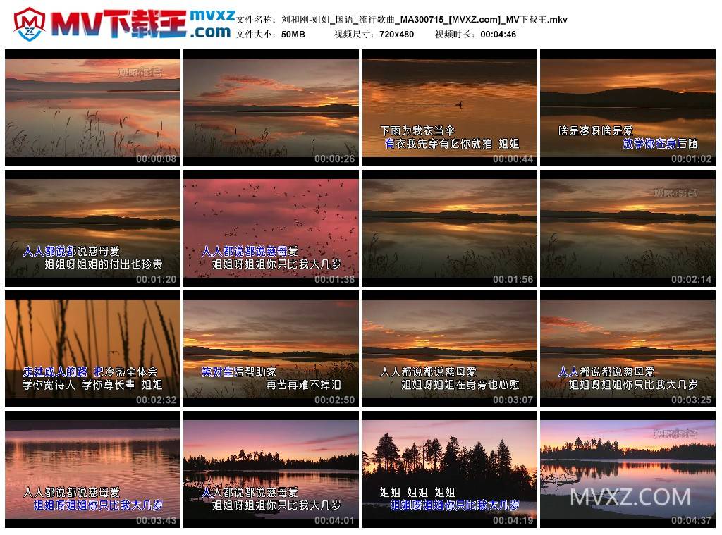 刘和刚-姐姐_国语_流行歌曲_MA300715